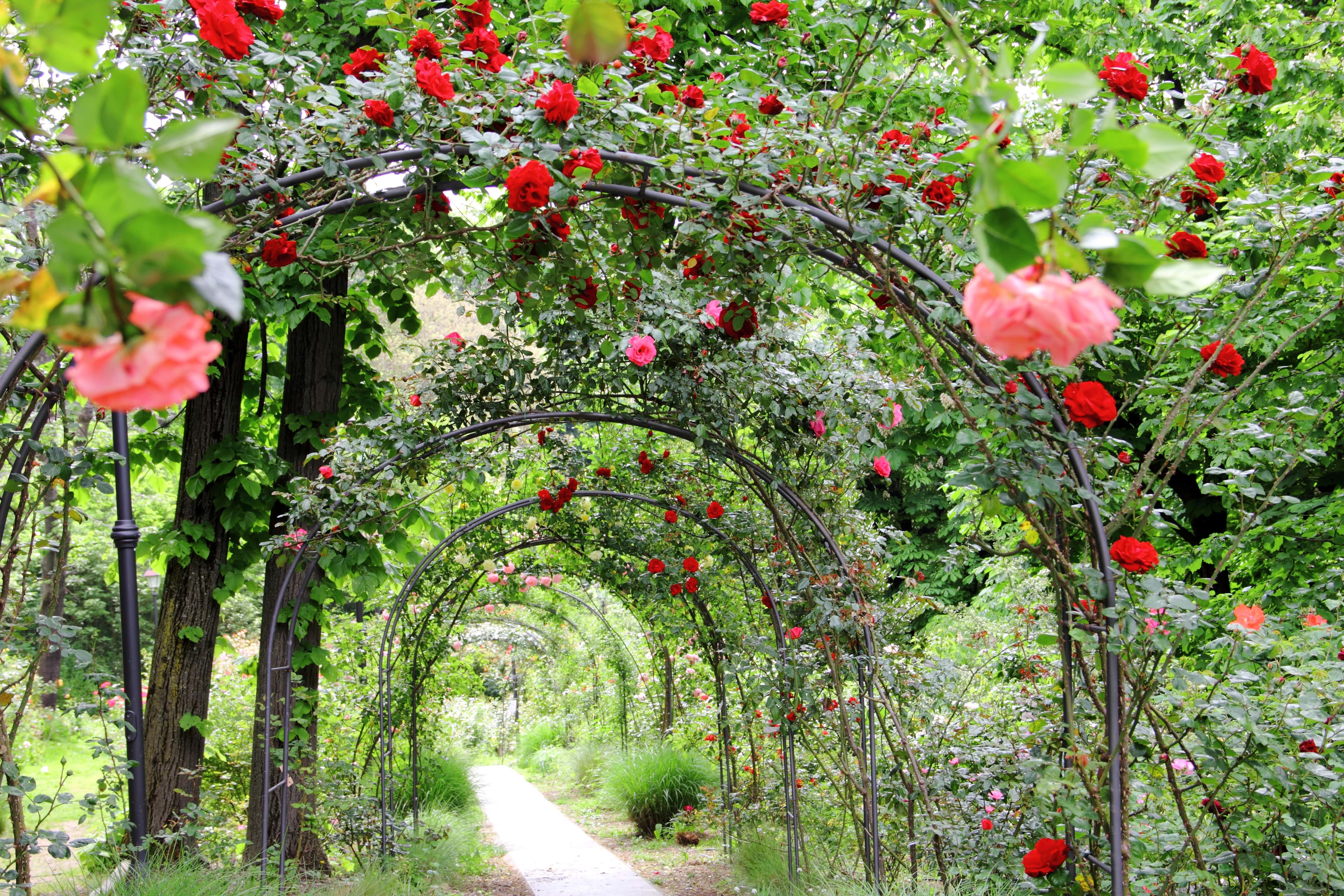 Senior Care in Angwin, CA